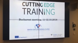 Cutting Edge Romania